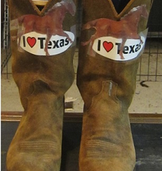 Customized Cowboy Boots